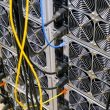 riot-purchases-btc-miners-worth-$290m-from-microbt