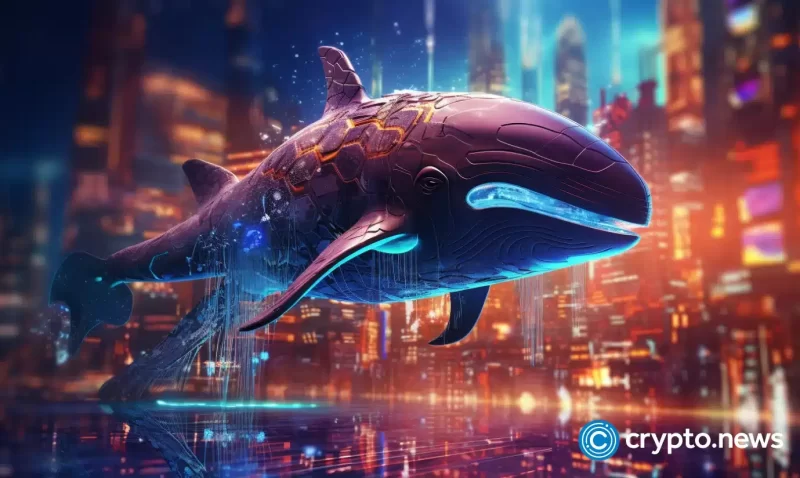cryptoquant-ceo-reveals-how-whales-prepare-for-market-fluctuations