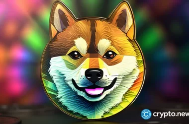 analyst-believes-dogecoin-is-‘about-to-go-crazy’