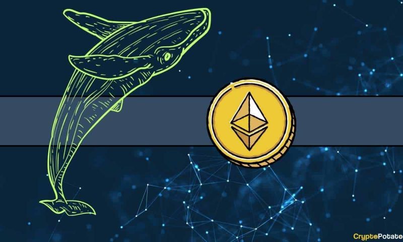 ethereum-price-in-danger?-dormant-whale-sparks-sell-off-concerns-after-moving-$90m-worth-of-eth-to-kraken