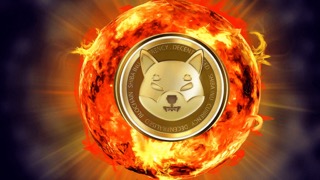 shiba-inu-burn-rate-rises-rapidly-in-one-week,-what’s-been-driving-it?