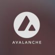 all-about-avax:-blockchain-type,-specific-features,-and-perspectives