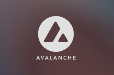all-about-avax:-blockchain-type,-specific-features,-and-perspectives
