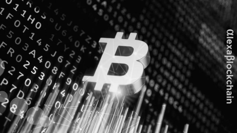bitcoin-price-surge,-etf-enthusiasm,-and-year-end-outlook