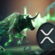 analyst-places-xrp-as-the-top-coin-for-the-2024-2025-bull-run