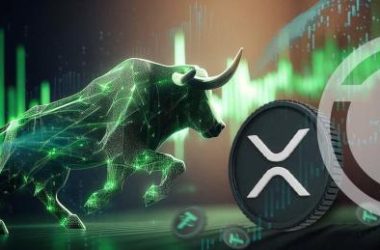 analyst-places-xrp-as-the-top-coin-for-the-2024-2025-bull-run