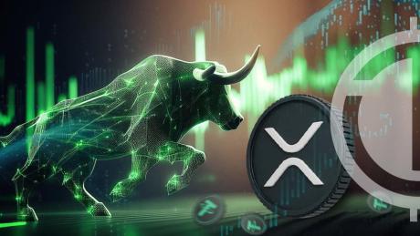 analyst-places-xrp-as-the-top-coin-for-the-2024-2025-bull-run