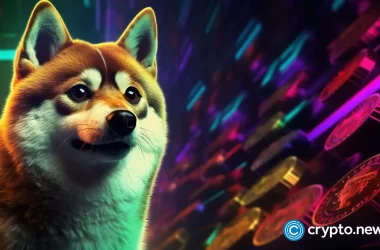 dogecoin-fans-exploring-new-project-with-high-scalability