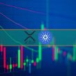 crypto-markets-plunged-$80b-daily-as-xrp,-ada,-dot,-link-dropped-hard-(market-watch)