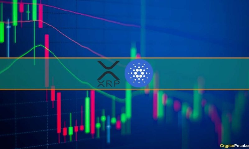 crypto-markets-plunged-$80b-daily-as-xrp,-ada,-dot,-link-dropped-hard-(market-watch)