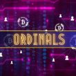bitcoin-inscriptions-highlighted-as-cybersecurity-risk-by-national-vulnerability-database