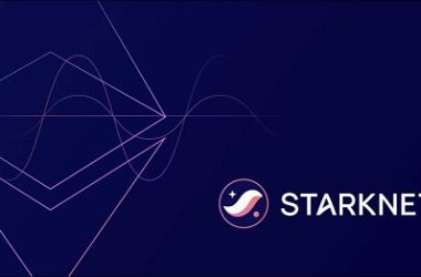 starknet-allocates-10%-of-network-fees-to-developers