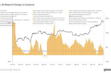 bitcoin-whales-diverge-from-smaller-holders-amid-year-end-accumulation-trend
