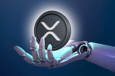 xrp-bull-run-confirmed:-largest-bull-flag-in-crypto-history-just-formed
