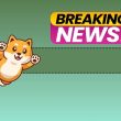december-bull-run-for-shib-inu-(shib)?-team-teases-major-announcement