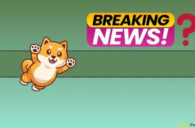 december-bull-run-for-shib-inu-(shib)?-team-teases-major-announcement