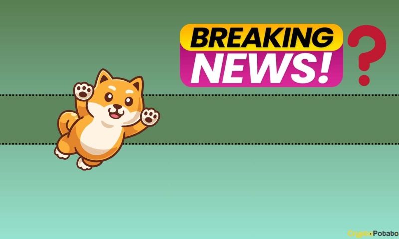 december-bull-run-for-shib-inu-(shib)?-team-teases-major-announcement