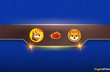 will-bonk-flip-shiba-inu-(shib)?-arthur-hayes-chips-in