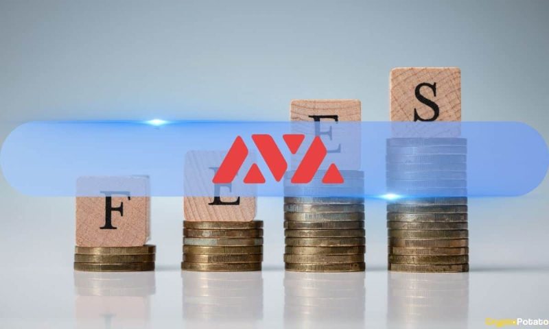 avalanche-network-gas-fees-surge-linked-to-trader-joe-founder’s-social-experiment