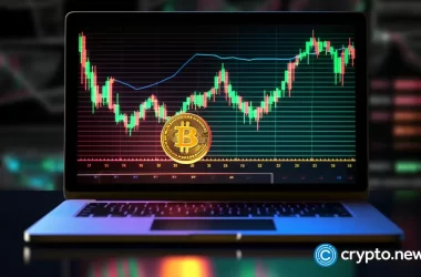 grayscale-ceo-confident-in-2024-bitcoin-market