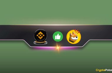 important-binance-announcement-concerning-bonk-inu-(bonk)