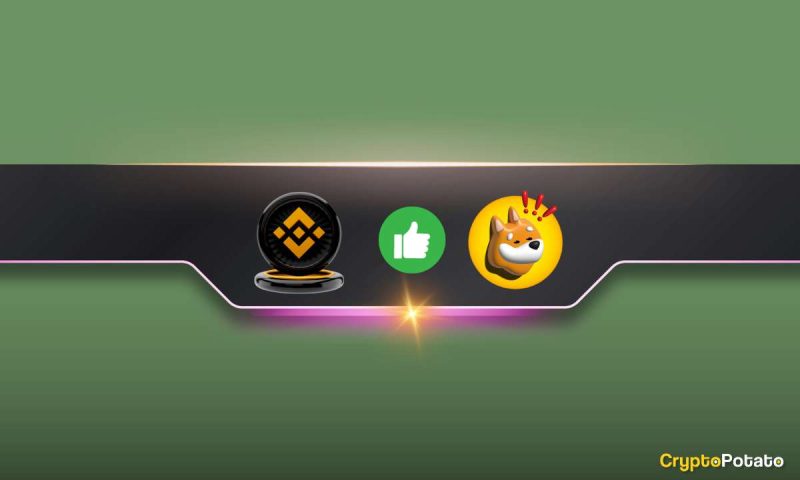 important-binance-announcement-concerning-bonk-inu-(bonk)