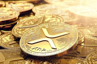 xrp-whales-trigger-surge-as-new-online-trading-platform-token-presale-gathers-steam