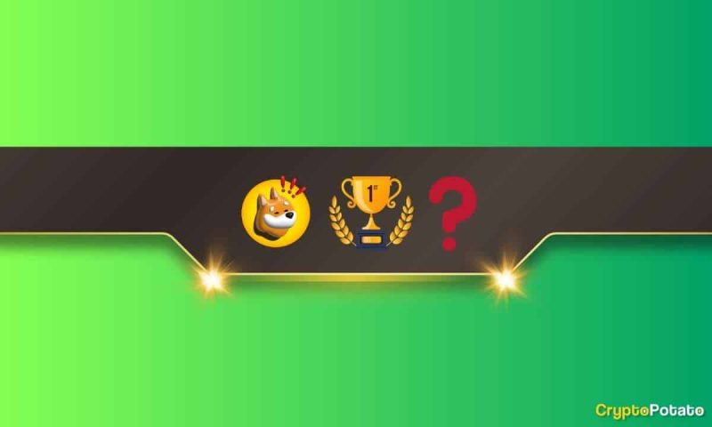 we-asked-chatgpt-if-bonk-will-be-the-biggest-memecoin-on-solana-next-year