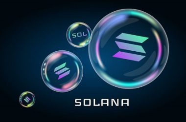 bonk-price-sees-12%-drop-as-solana-pares-gains