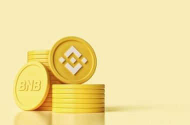 binance-coin-(bnb)-blazes-ahead:-predictions-point-to-new-all-time-highs-in-first-half-of-2024