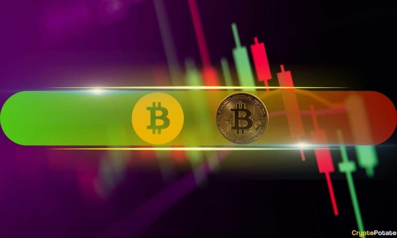 bsv-skyrockets-110%-weekly-and-taps-$100,-btc-struggles-below-$42k-(weekend-watch)