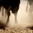 ethereum-price-could-start-2024-with-a-strong-increase-if-it-holds-this-support