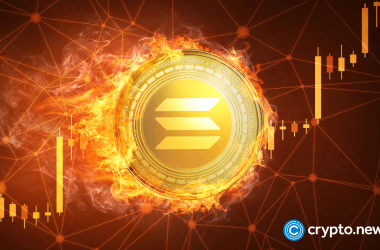 the-token-that-lived:-how-solana-project-rose-from-the-ashes