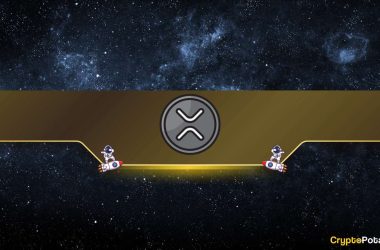 will-ripple-(xrp)-price-skyrocket-in-2024?-multiple-things-to-consider