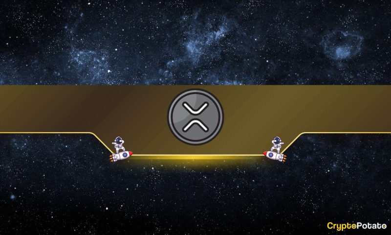 will-ripple-(xrp)-price-skyrocket-in-2024?-multiple-things-to-consider