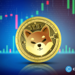 memecoin-market-cap-falls-12%-during-today’s-liquidation