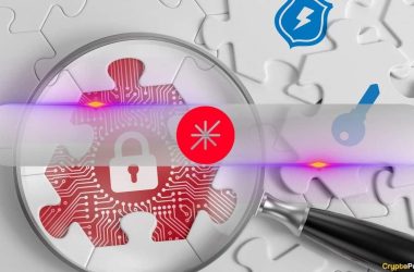 defi-protocol-gamma-strategies-discloses-vulnerability-after-preliminary-investigation