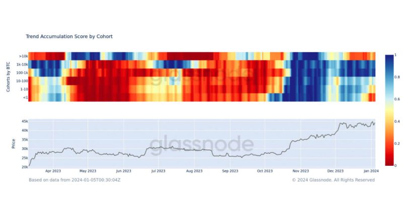 shift-in-digital-asset-market-as-smaller-wallets-sell-off,-while-mid-tier-investors-continue-to-accumulate
