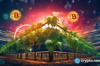 crypto-exchange-upbit-secures-full-operational-license-in-singapore