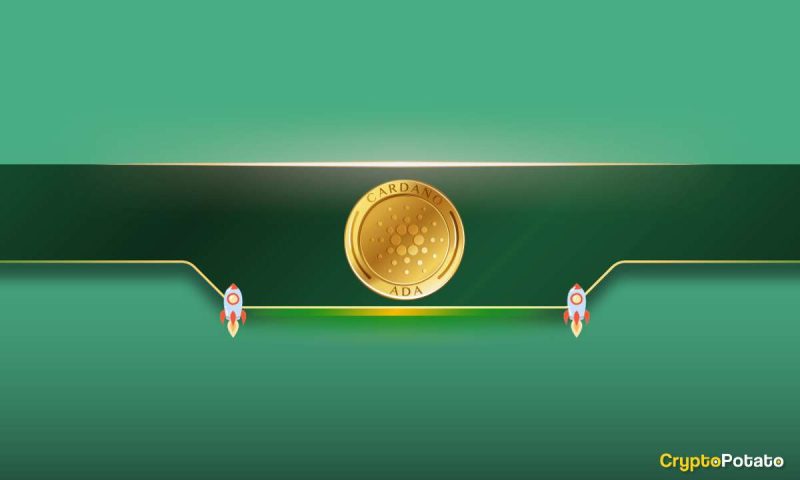 important-cardano-metric-rises-60%-in-a-month:-is-ada-on-the-verge-of-a-rally?