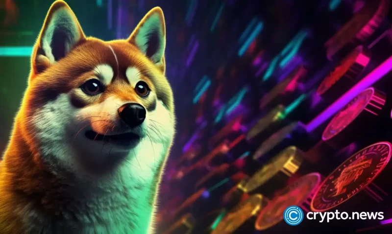 dogecoin-millionaire-who-backed-pepe-endorses-pushd