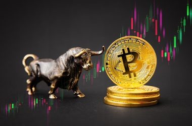 pullix-(plx)-outlook-as-btc-soars,-investors-savour-bullish-market