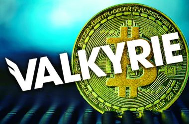valkyrie-executive-95%-confident-in-wednesday-spot-bitcoin-etf-approval