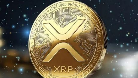 xrp-whales-make-big-moves-amid-market-volatility