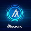 hedera-and-algorand-forge-an-alliance-for-crypto-recovery
