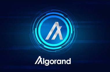 hedera-and-algorand-forge-an-alliance-for-crypto-recovery
