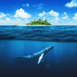 shiba-inu-whales-eat-the-dip:-2.39-trillion-shib-make-their-way-to-cold-storage