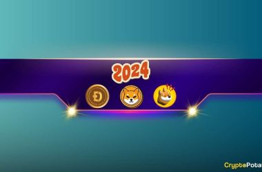 we-asked-chatgpt-if-2024-will-be-successful-for-meme-coin-investors