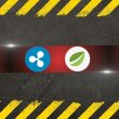 potential-bitfinex-$15b-xrp-‘partial-payments’-exploit-thwarted 