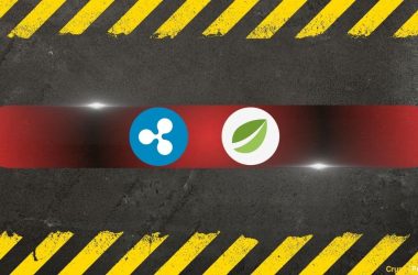 potential-bitfinex-$15b-xrp-‘partial-payments’-exploit-thwarted 